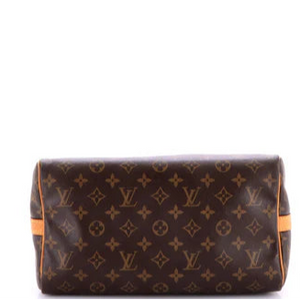 Louis Vuitton Speedy 30 Bandouliere
